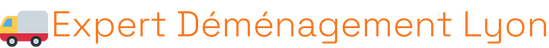 Déménageur Lyon 3